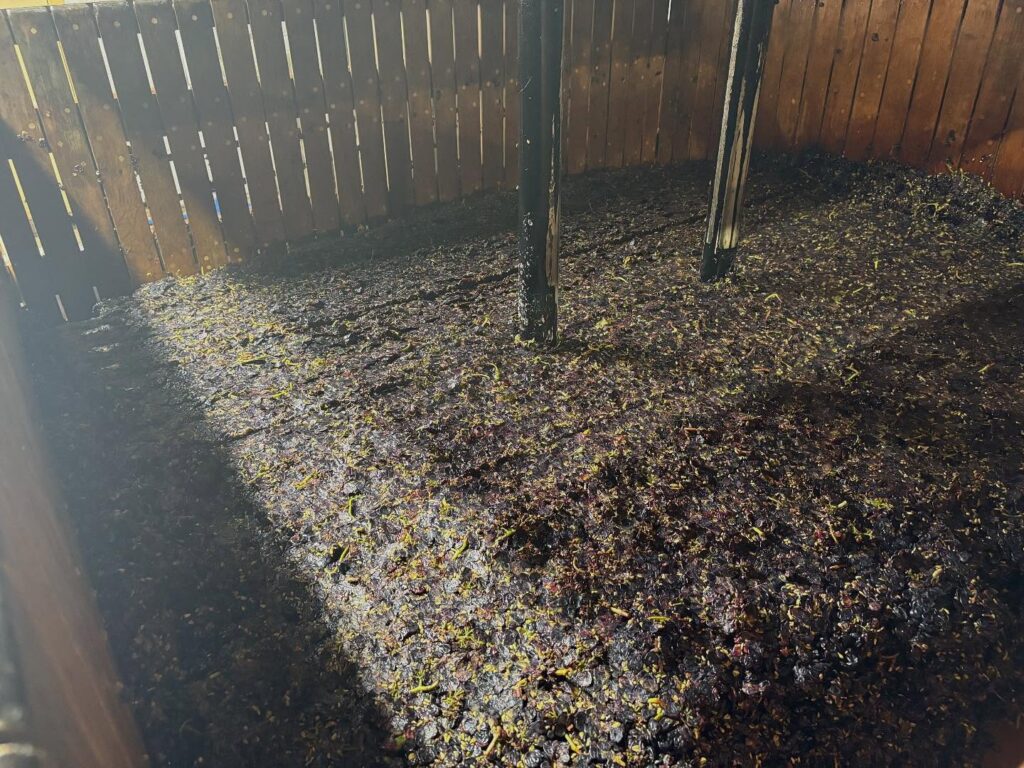 Instagram post from domaine.hugo. This post is in position 3.