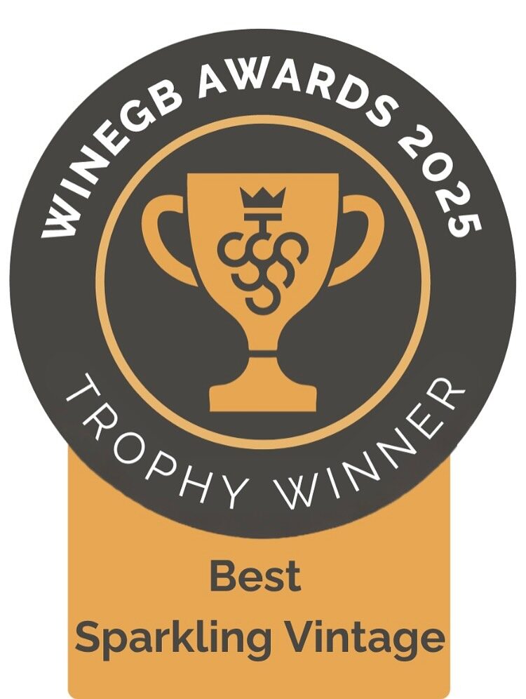 Instagram post from domaine.hugo. This post is in position 2.