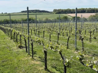 Instagram post from domaine.hugo. This post is in position 2.