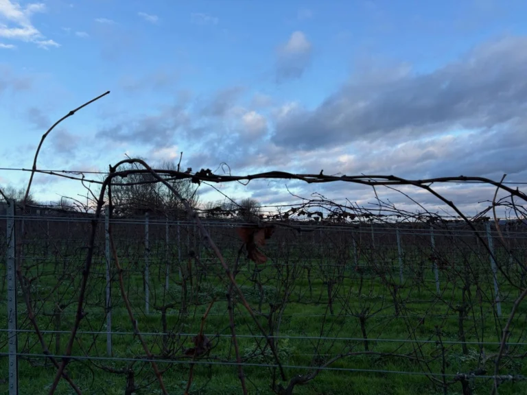 Instagram post from domaine.hugo. This post is in position 4.