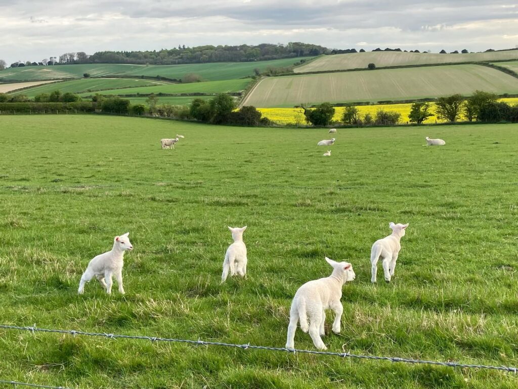 Instagram post from domaine.hugo. This post is in position 2.