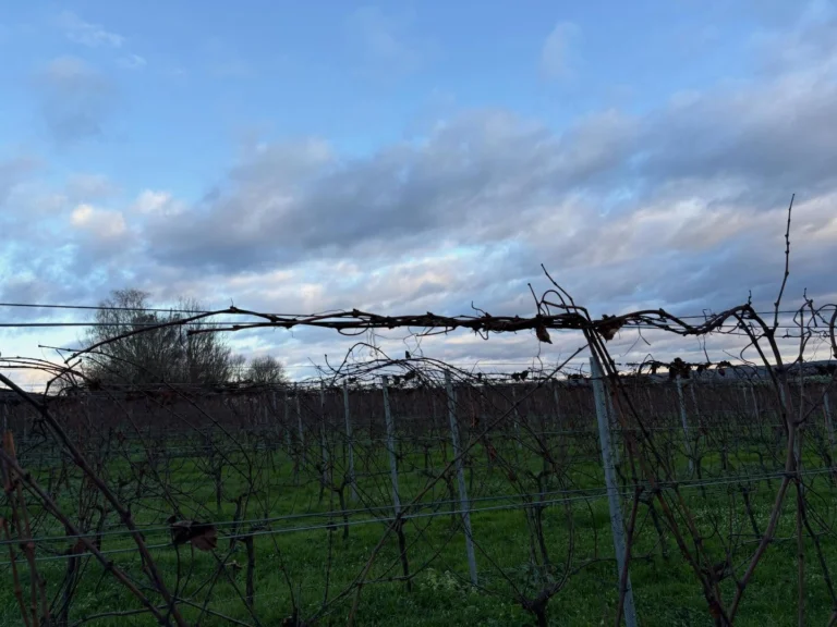 Instagram post from domaine.hugo. This post is in position 5.