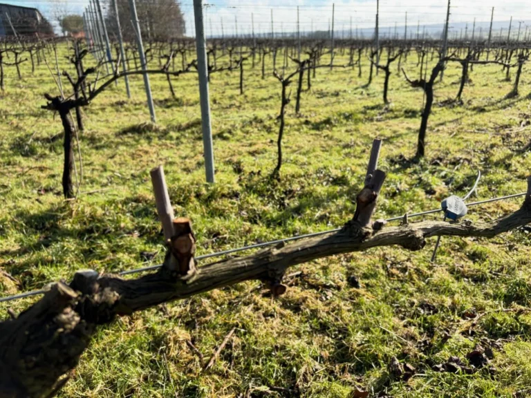Instagram post from domaine.hugo. This post is in position 5.