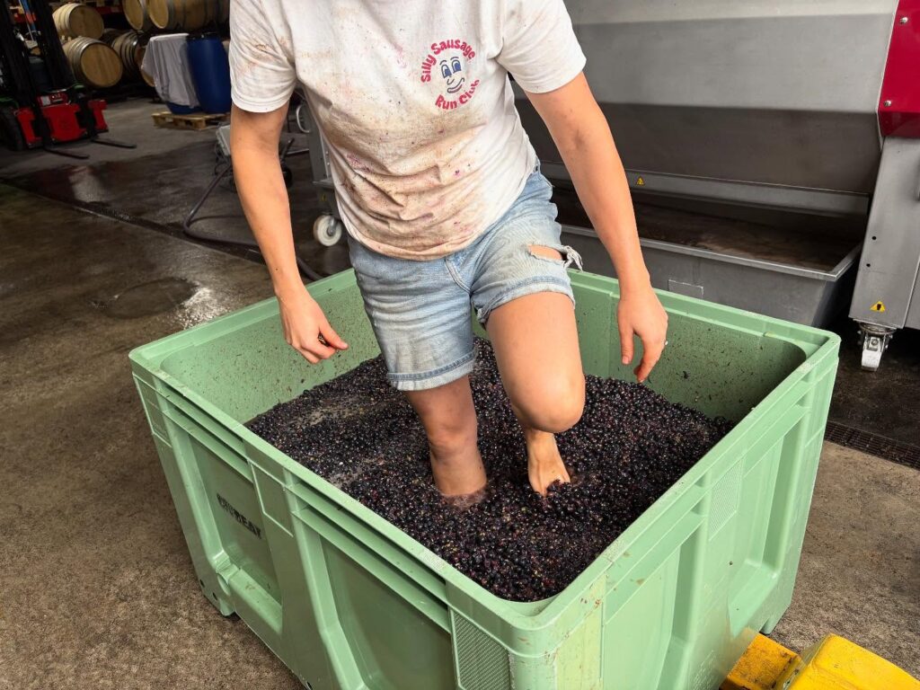 Instagram post from domaine.hugo. This post is in position 2.