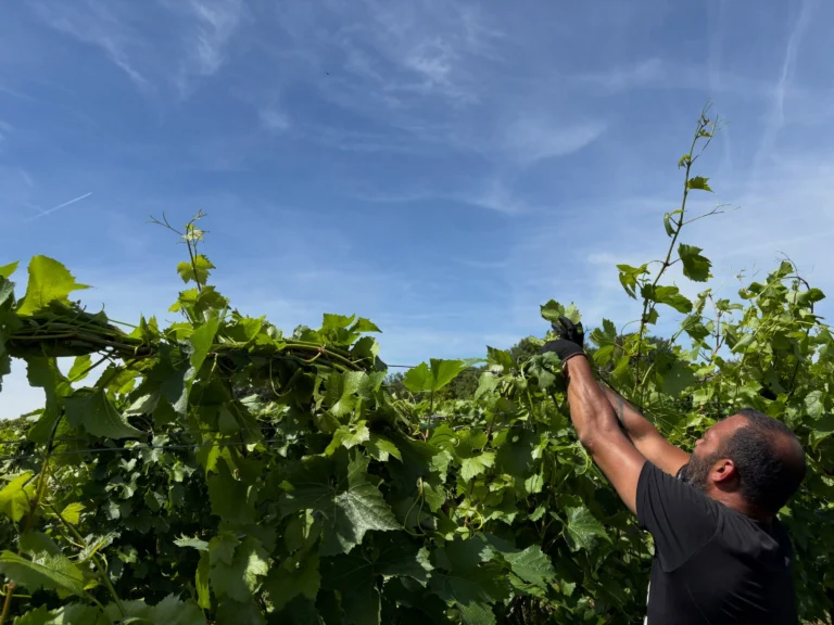 Instagram post from domaine.hugo. This post is in position 2.