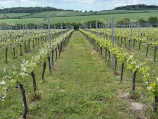 Instagram post from domaine.hugo. This post is in position 1.