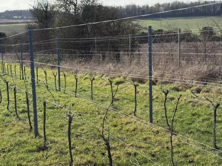 Instagram post from domaine.hugo. This post is in position 4.