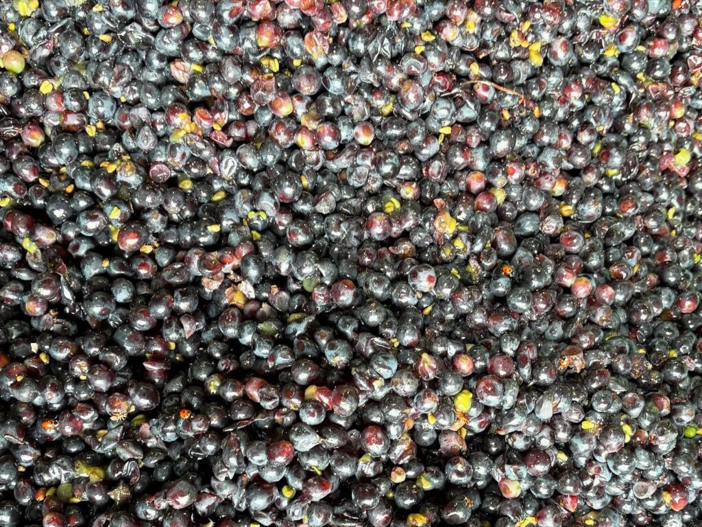 Instagram post from domaine.hugo. This post is in position 1.