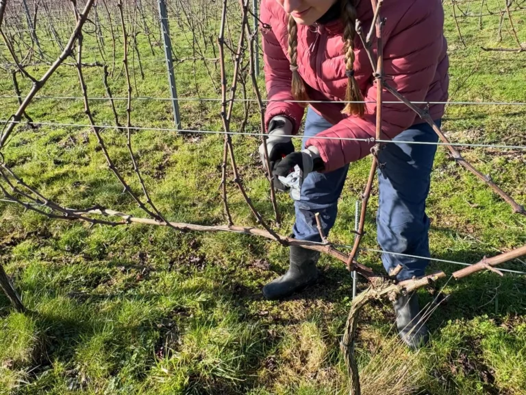 Instagram post from domaine.hugo. This post is in position 3.